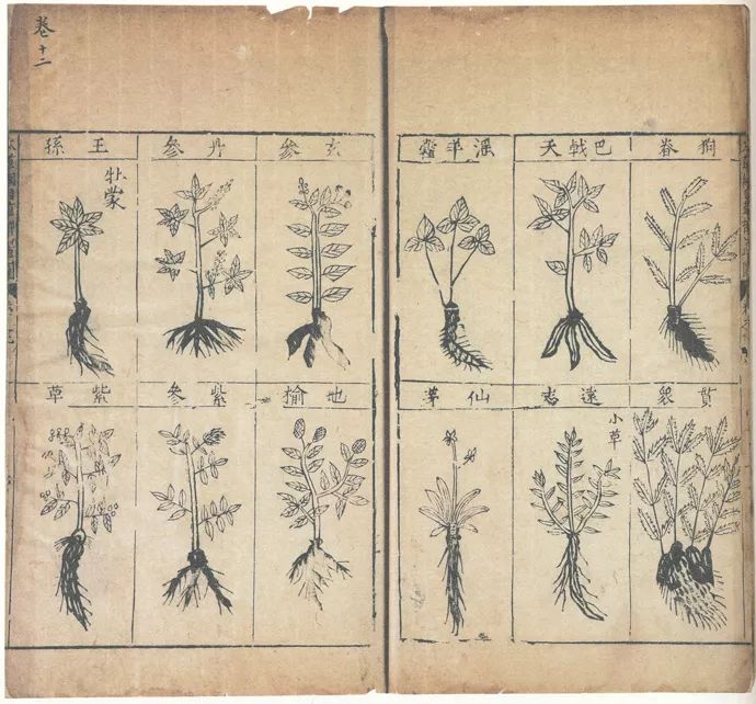 本草纲目的作者是谁啊本草纲目是怎么来的