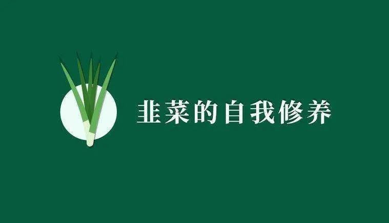 韭零后论九零后韭菜们的自我修养