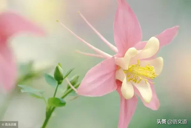 0-108岁年龄称谓,知道一半算你厉害!