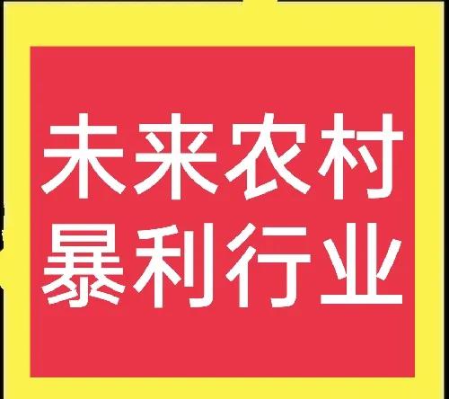 想赚钱的看过来，这些行业在未来的农村很赚钱，请收藏