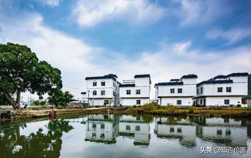 现在农村干什么容易致富?这几个有“钱途”的项目,你值得一试