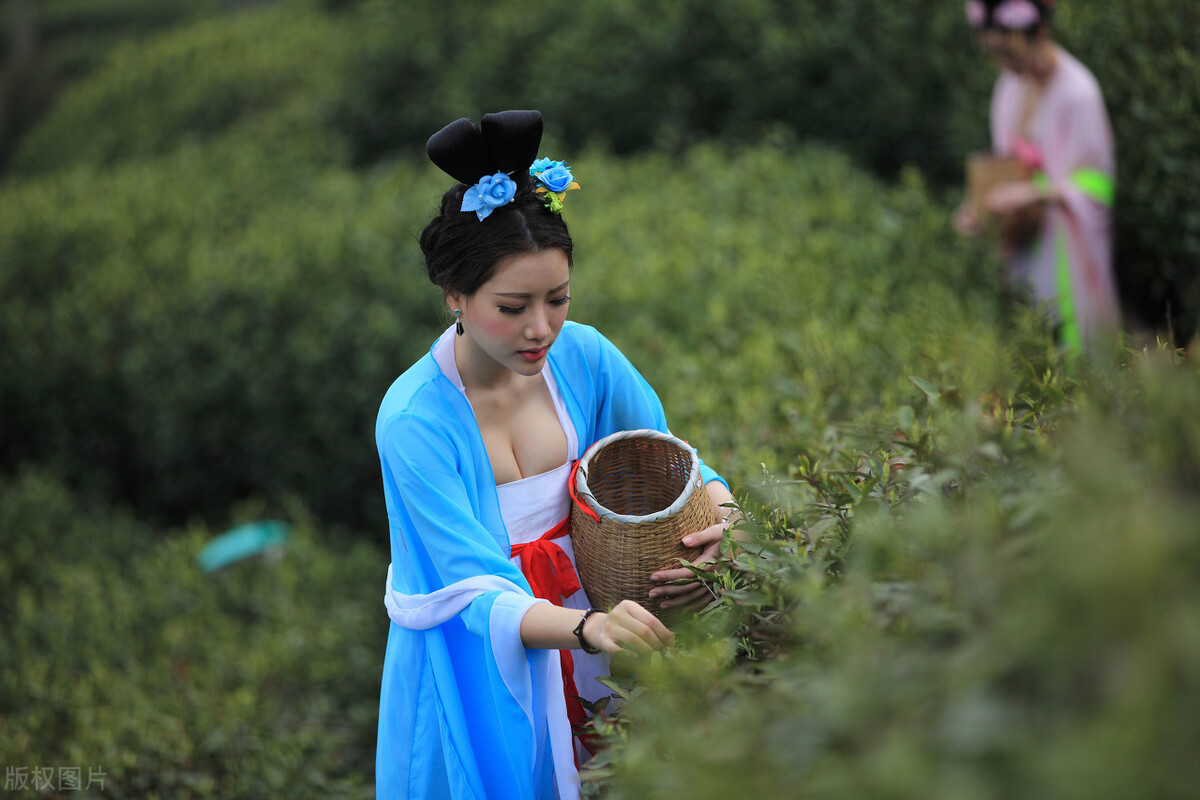 当下的茶叶为何越来越难销售?
