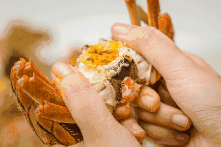秋风凉，蟹膏肥，拾趣君手把手教你吃螃蟹