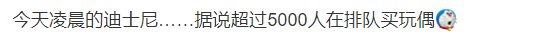 凌晨3点超5000人迪士尼排队买玩偶(网友直呼这些人太疯狂)