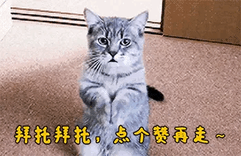 在银行里买保险到底靠不靠谱?