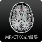 影像解剖图谱app破解版下载