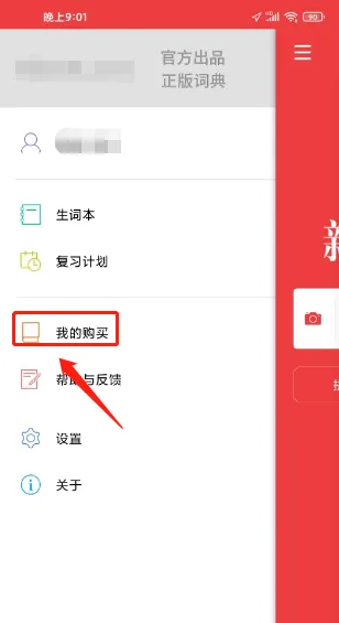 新华大字典