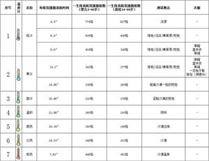 希望之村国际服
