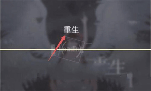 菲格罗斯