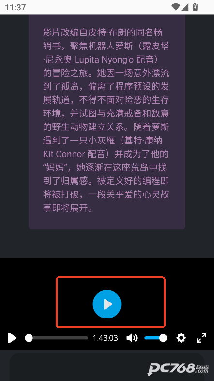 磁力熊