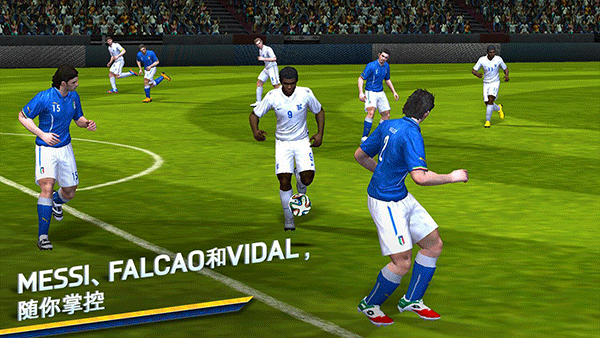 FIFA14