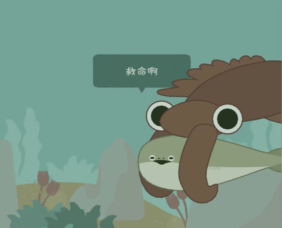 萨卡班甲鱼