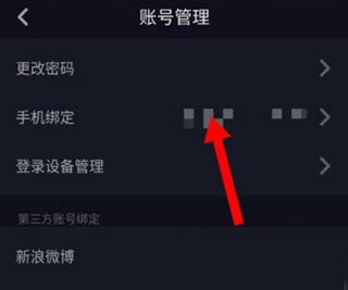 抖音手表精简版