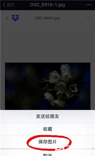 Dropbox安卓版