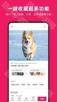 图片搜搜
