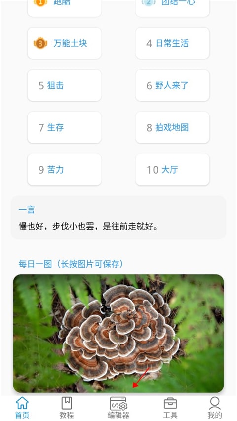 迷你开发者工具箱