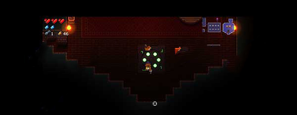 Enter the Gungeon