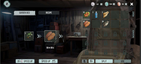 死亡之岛